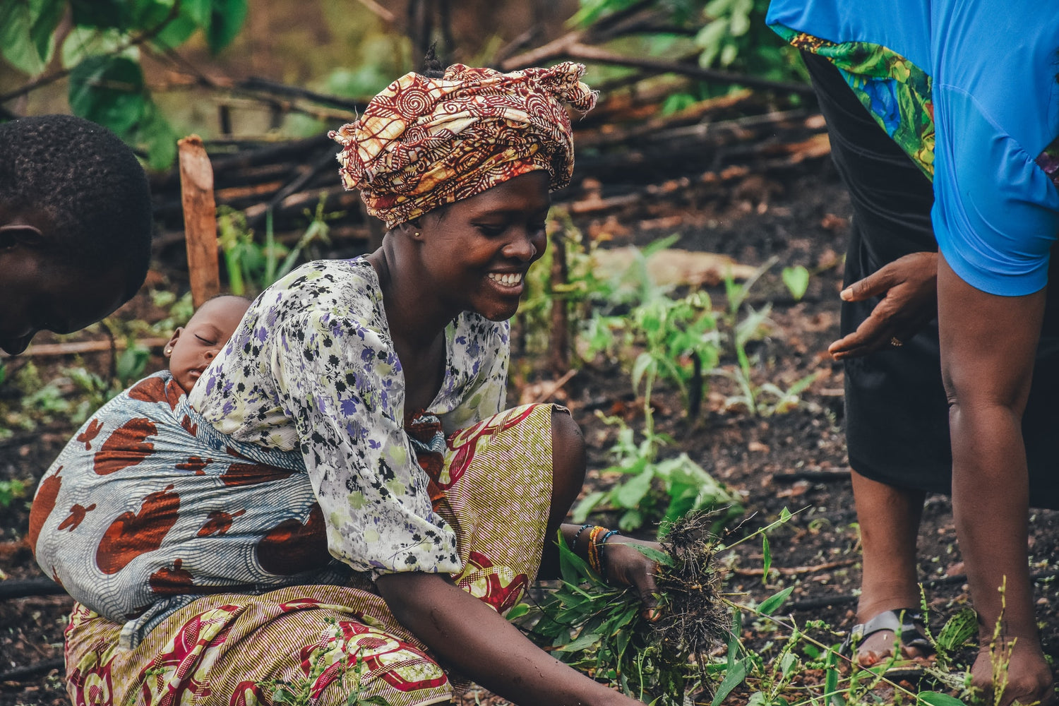 African woman planting a tree